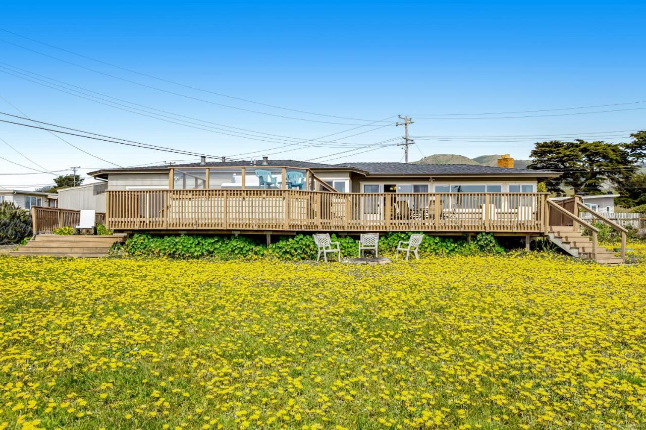 Cozy Carmet Cottage Bodega Bay Εξωτερικό φωτογραφία